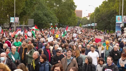 Crowd marching in protest during Pro-Palestine demonstration_4 Stock Footage 254367160