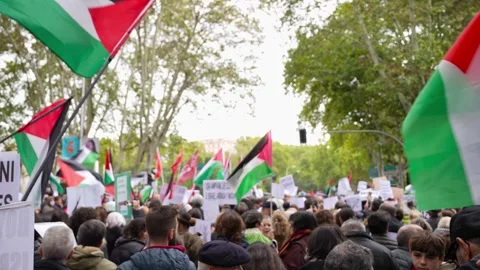Crowd marching in protest during Pro-Palestine demonstration with flags Stock Footage 254367670