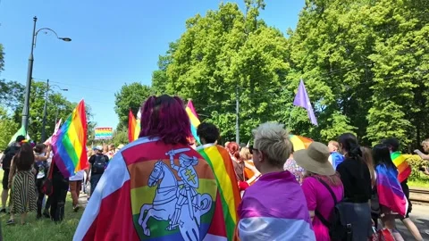 Crowd marching with rainbow flags through urban park parade Stock Footage 331448804