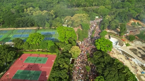 Crowd Marching Through Dhaka Roads – August 5, 2024 Stock Footage 311881164