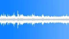 Crowd Noise: Trade Show, Large & Busy Walla and Announcement - Loop Sound Effect