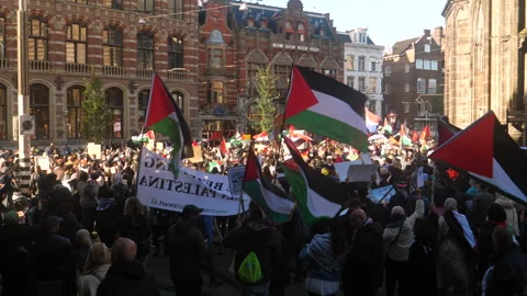 Crowd with Palestine flags at Pro Palestine march. Netherlands, October 15, 2023 Stock Footage 253304875
