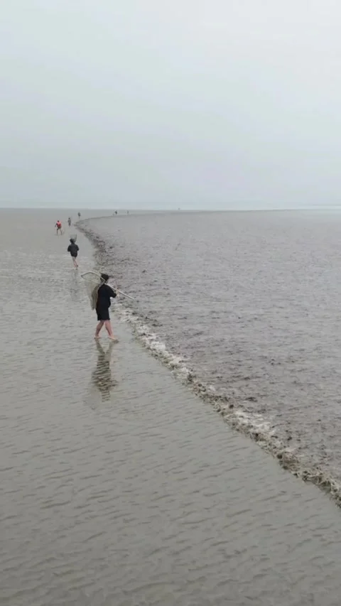 Crowd Participating in the Qiantang River Tidal Bore Chasing Custom, Zhejiang Vídeo Stock 337348060