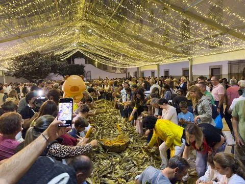 Crowd participating in a traditional corn husking event during the Feira da.. Stock Photos