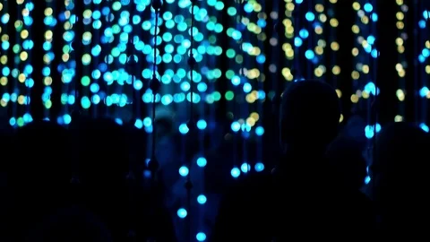 Crowd of People Admiring LED Light Bulbs Stock Footage 81503897