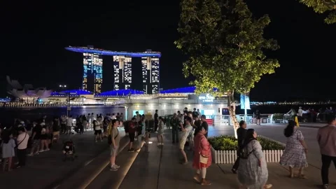 A  crowd of people are walking down near Merlion Park Stock Footage 318266665