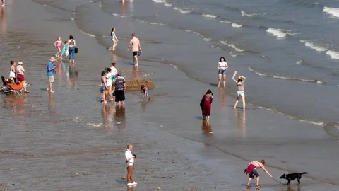 Crowd of people on beach Stock Footage 74448940