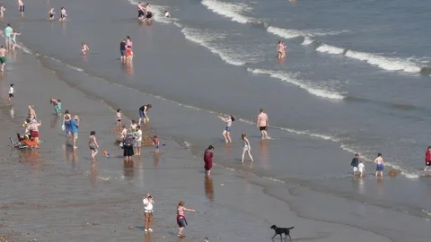 Crowd of people on beach Stock Footage 74449009