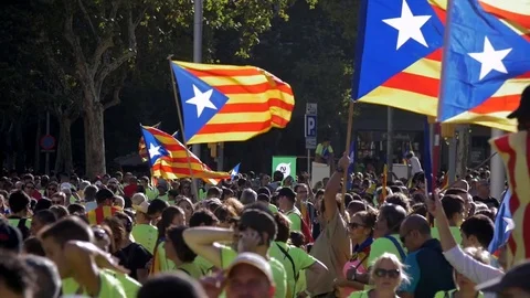 Crowd of People in a Catalonian Demonstration Stock Footage 80029596
