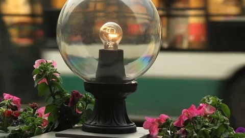 Crowd of people. City Life. Saint Petersburg. Cross the street. Stock Footage 79203853