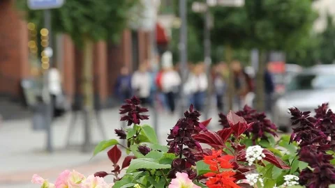 Crowd of people . Cross the street  in multi colored clothes Stock Footage 79162172