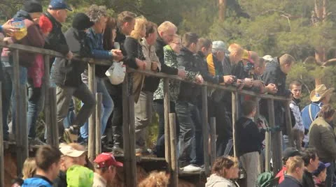 Crowd people Stock Footage 12174429