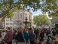 Crowd of people Fridays for Future global demonstration in Brunswick city Photo