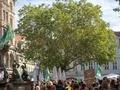 Crowd of people Fridays for Future global demonstration in Brunswick city Photo
