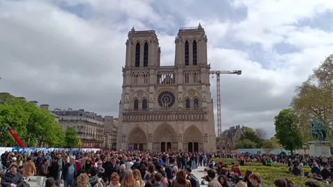 Crowd of people in front of The Notre Dame Cathedral Stock Footage 341967204