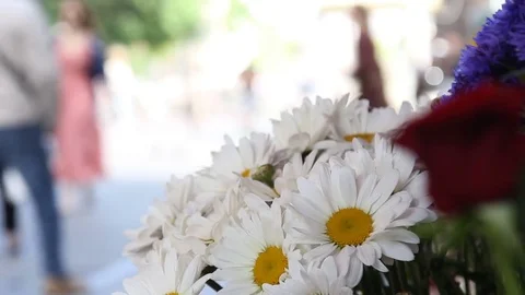 Crowd of people in multi colored clothes walking on a sunny day in the city. 스톡 동영상 78000077