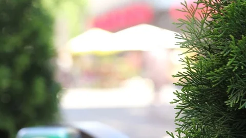 Crowd of people in multi colored clothes walking on a sunny day in the city.  6 Stock Footage 78000973