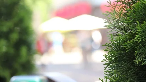 Crowd of people in multi colored clothes walking on a sunny day in the city. B 7 Stock Footage 78000995
