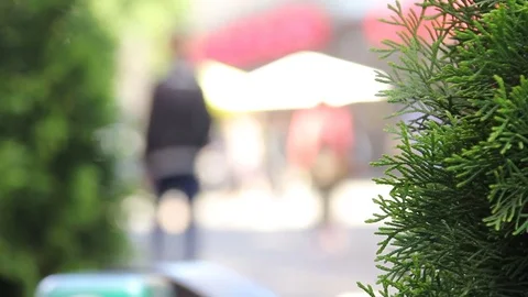 Crowd of people in multi colored clothes walking on a sunny day in the city.  8 Video stock 78001101