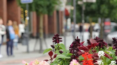 Crowd of people in multi colored clothes walking on a sunny day in the city. Video stock 79103688