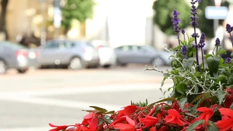 Crowd of people in multi colored clothes walking on a sunny day in the city. Stock Footage 79103956