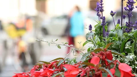 Crowd of people in multi colored clothes walking on a sunny day in the city. Stock Footage 79160431