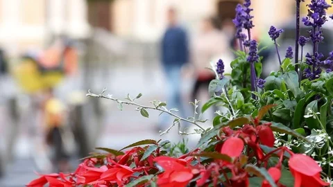 Crowd of people in multi colored clothes walking on a sunny day in the city. Stock Footage 79162226