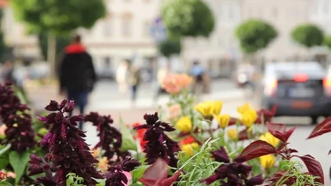 Crowd of people in multi colored clothes walking on a sunny day in the city. Video stock 79168872