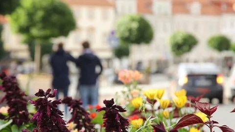 Crowd of people. multi-colored clothes walking on a sunny day in the city. Stock Footage 79169315