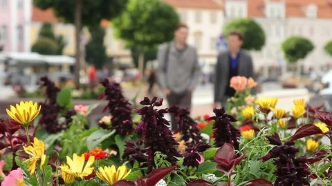 Crowd of people in multi colored clothes walking on a sunny day in the city. Stock Footage 79169515