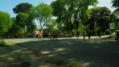 Crowd of people in park at sunset Stock Footage 230024160