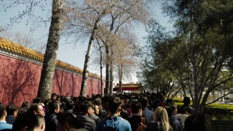 Crowd of People Queuing Along Red Wall and Trees at Tiananmen Square, Beijing Stock Footage 345688230