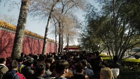 Crowd of People Queuing Near Red Wall and Trees at Tiananmen Square, Beijing Stock Footage 345688253