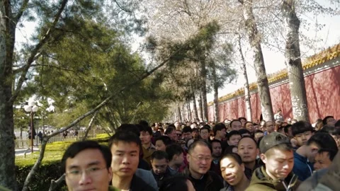 Crowd of People Queuing Outdoors Beside Red Wall and Trees in Beijing, China Stock Footage 345688270