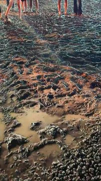 Crowd of People Standing on Deep Thick Mud at Outdoor Festival 写真素材