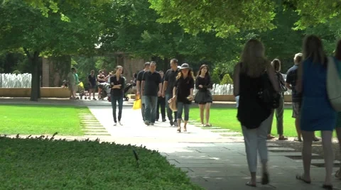 Crowd of people walking in the park Stock Footage 43444480