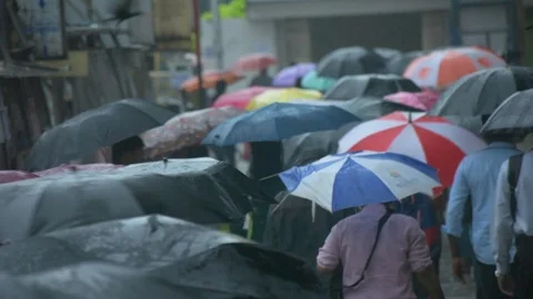Crowd people walking with umbrella during rainy season. Stock Footage 115782107