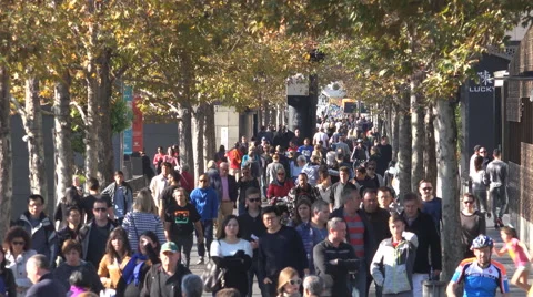 Crowd people walking under trees in Melbourne 스톡 동영상 52204934