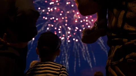 A crowd of people watching fireworks in honor of the holiday Stock Footage