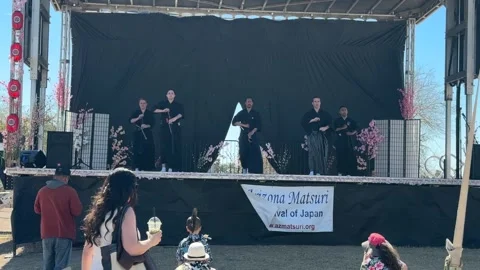 Crowd of people watching Samurai martial art at Phoenix Japanese Matsuri Stock Footage 336697739
