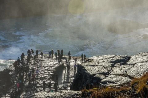 The Crowd Stock Photos