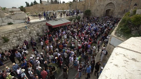 Crowd of pilgrims at Lion's Gate of Jerusalem. Palm Sunday. C0009-01 Stockbeeldmateriaal 106113619
