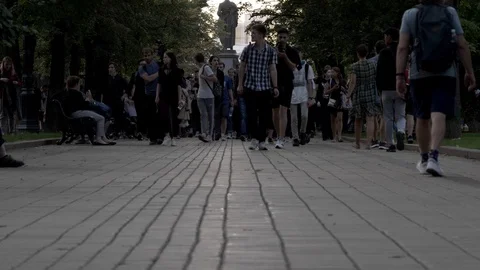 A crowd of protesters are chanting slogans. Stock Footage 117538670