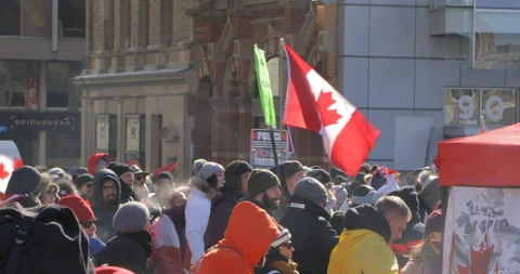 Crowd of protesters with signs and flags at Ottawa protest Stock-Footage 170343272
