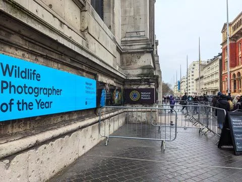 Crowd queueing outside Londons Natural History Museum with Wildlife Photographer Stock Photos