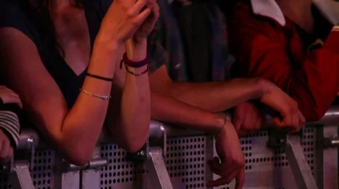 Crowd at a rock concert Stock Footage 8652640
