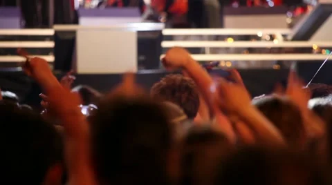 Crowd at a rock concert Stock Footage 8655494