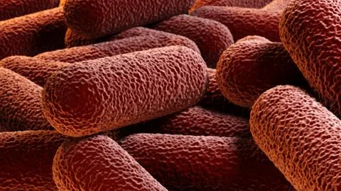 Crowd of rod-shaped bacteria Stock Illustration