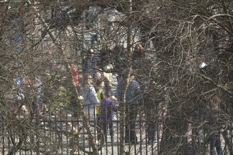 Crowd seen through bare branches Stock Photos