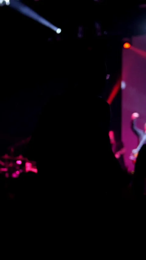 The crowd of shadows of people dancing at the concert Stock Footage 332544614